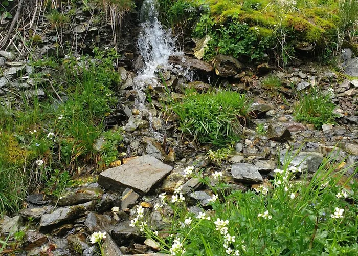 Thaletalm 度假居 *